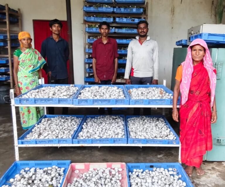 रेशम की डोर से बुनी आत्मनिर्भरता – दंतेवाड़ा की महिलाओं को मिली नई पहचान