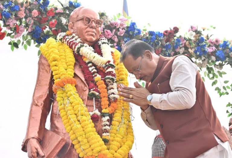 मुख्यमंत्री साय ने संविधान दिवस के अवसर पर डॉ. भीमराव अंबेडकर की प्रतिमा पर माल्यार्पण कर किया नमन