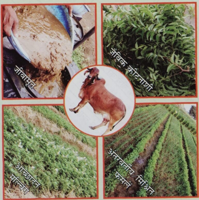 कृषि विश्वविद्यालय में प्राकृतिक खेती पर राष्ट्रीय संगोष्ठी कल