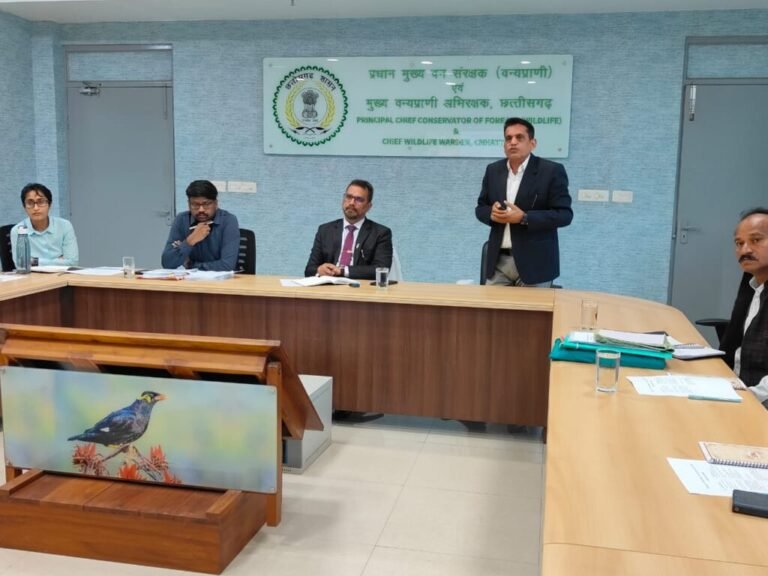 छत्तीसगढ़ में वन भैंसा संरक्षण एवं स्थानांतरण पर उच्च स्तरीय बैठक