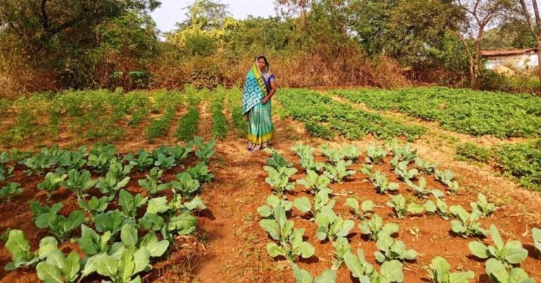 राष्ट्रीय ग्रामीण आजीविका मिशन ‘बिहान’ से बदली तकदीर, आत्मनिर्भरता की बनी मिसाल