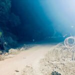 लाल आतंक का अंधेरा छंटा, नक्सलियों के सुरक्षित ठिकाने ‘गोगुंडा’ में पहली बार जला बल्ब