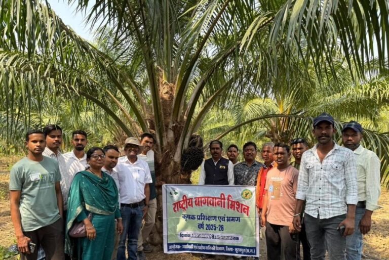 छत्तीसगढ़ के किसानों ने ओडिशा में देखी ऑयल पाम की खेती