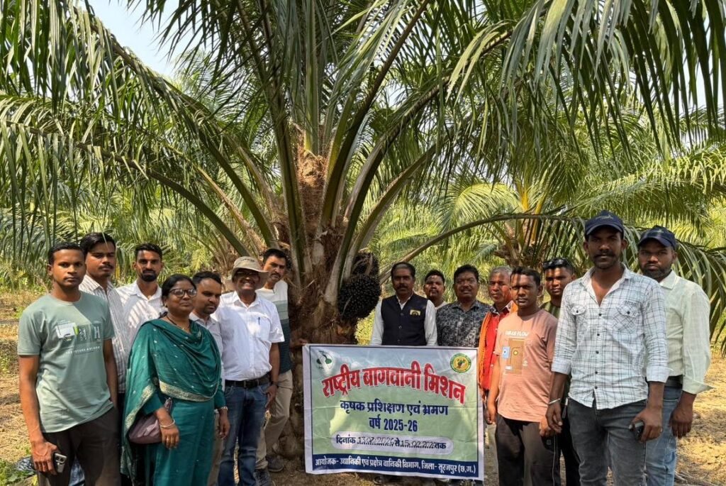 छत्तीसगढ़ के किसानों ने ओडिशा में देखी ऑयल पाम की खेती