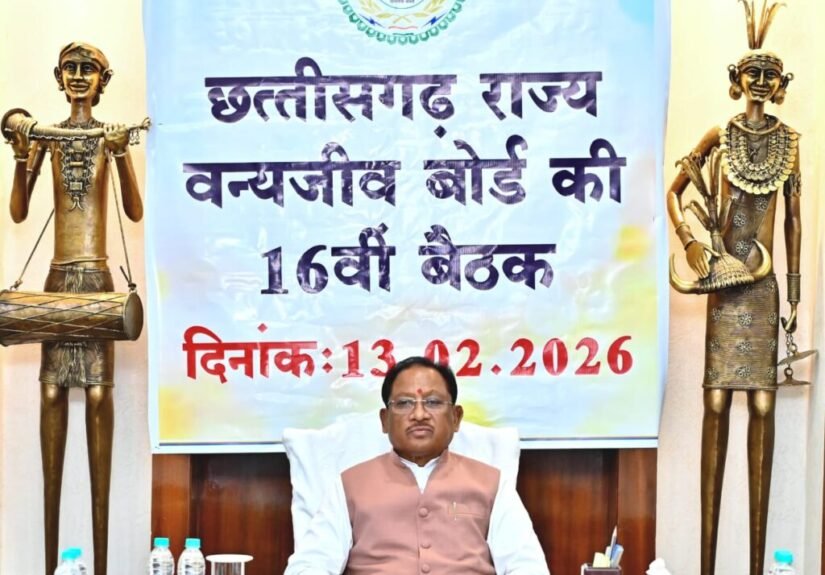 वन्यजीवों के प्राकृतिक आवास की सुरक्षा और सह-अस्तित्व के सिद्धांतों के अनुरूप हो सभी गतिविधियों का संचालन : मुख्यमंत्री साय