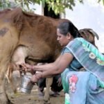 आत्मनिर्भरता की मिसाल: औराटोला बना बालोद का पहला लखपति दीदी ग्राम