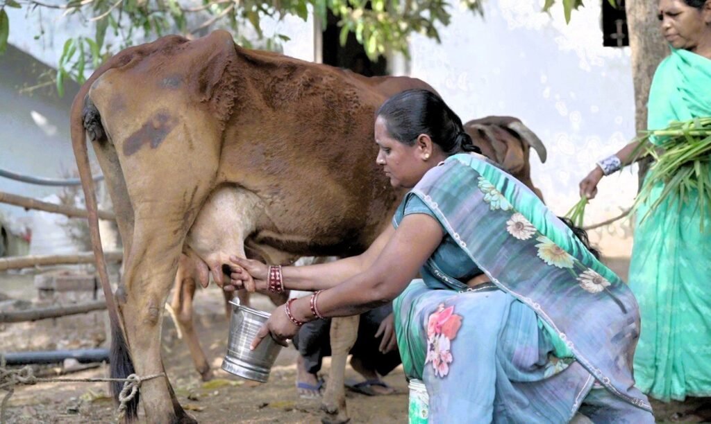 आत्मनिर्भरता की मिसाल: औराटोला बना बालोद का पहला लखपति दीदी ग्राम