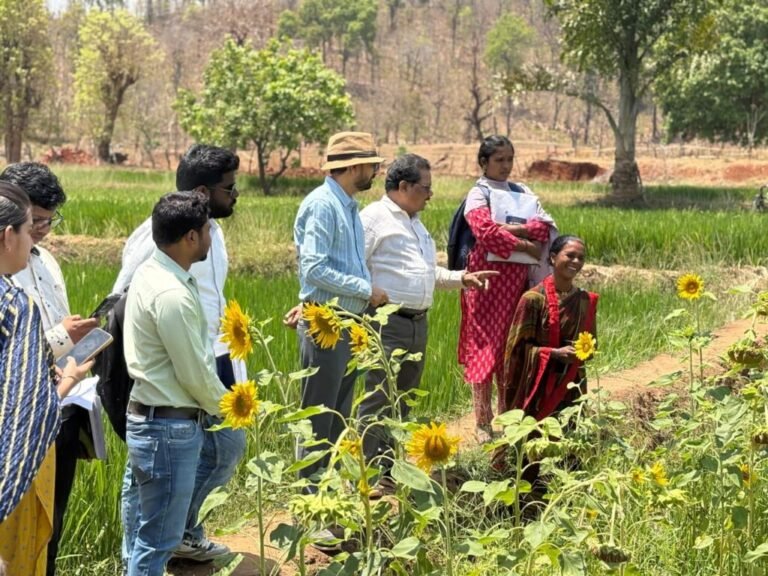 एकीकृत कृषि और आजीविका के लिए ‘दीदी के बखरी’ से आ रही नई क्रांति कांकेर जिले की पहल