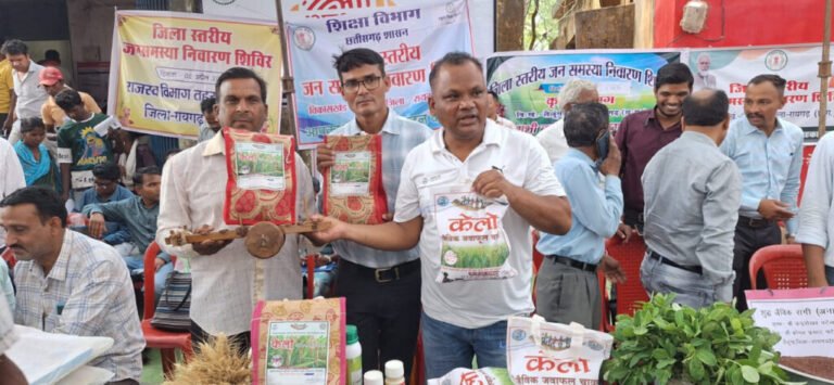 लैलूंगा की पहचान बना ‘केलो’ जैविक जंवाफूल चावल