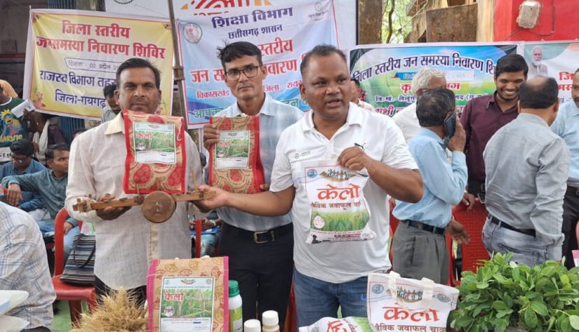 लैलूंगा की पहचान बना ‘केलो’ जैविक जंवाफूल चावल