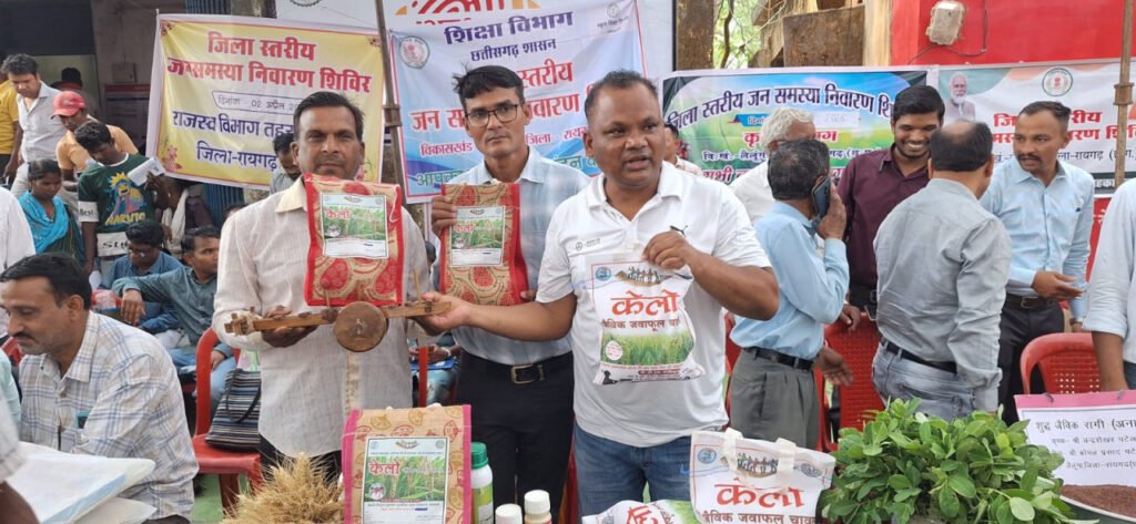 लैलूंगा की पहचान बना ‘केलो’ जैविक जंवाफूल चावल