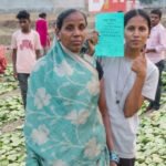 ’हरा सोना’ बना समृद्धि का आधार : तेंदूपत्ता खरीदी की बढ़ी दर ने संग्राहकों का बढ़ाया उत्साह व भरोसा, हर फड़ पर रौनक