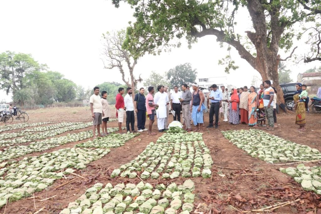 तेन्दूपत्ता संग्रहण में छत्तीसगढ़ ने बनाया नया रिकॉर्ड, अब तक 13.52 लाख मानक बोरा संग्रहित