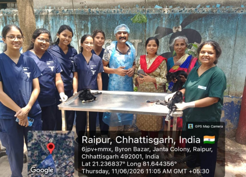 छत्तीसगढ़ के पशु चिकित्सालय में दुर्लभ सिजेरियन ऑपरेशन
