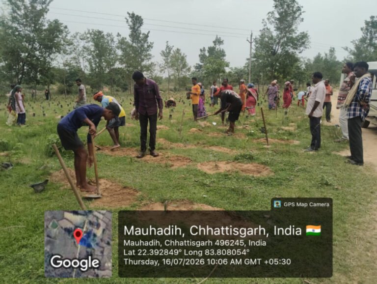 जशपुर जिले में 2 लाख 72 हजार साजा-अर्जुन पौधों का पौधरोपण शुरू