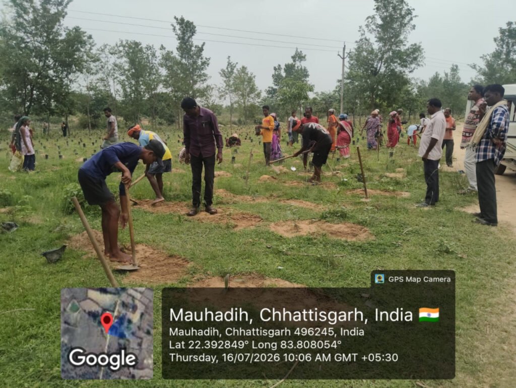 जशपुर जिले में 2 लाख 72 हजार साजा-अर्जुन पौधों का पौधरोपण शुरू
