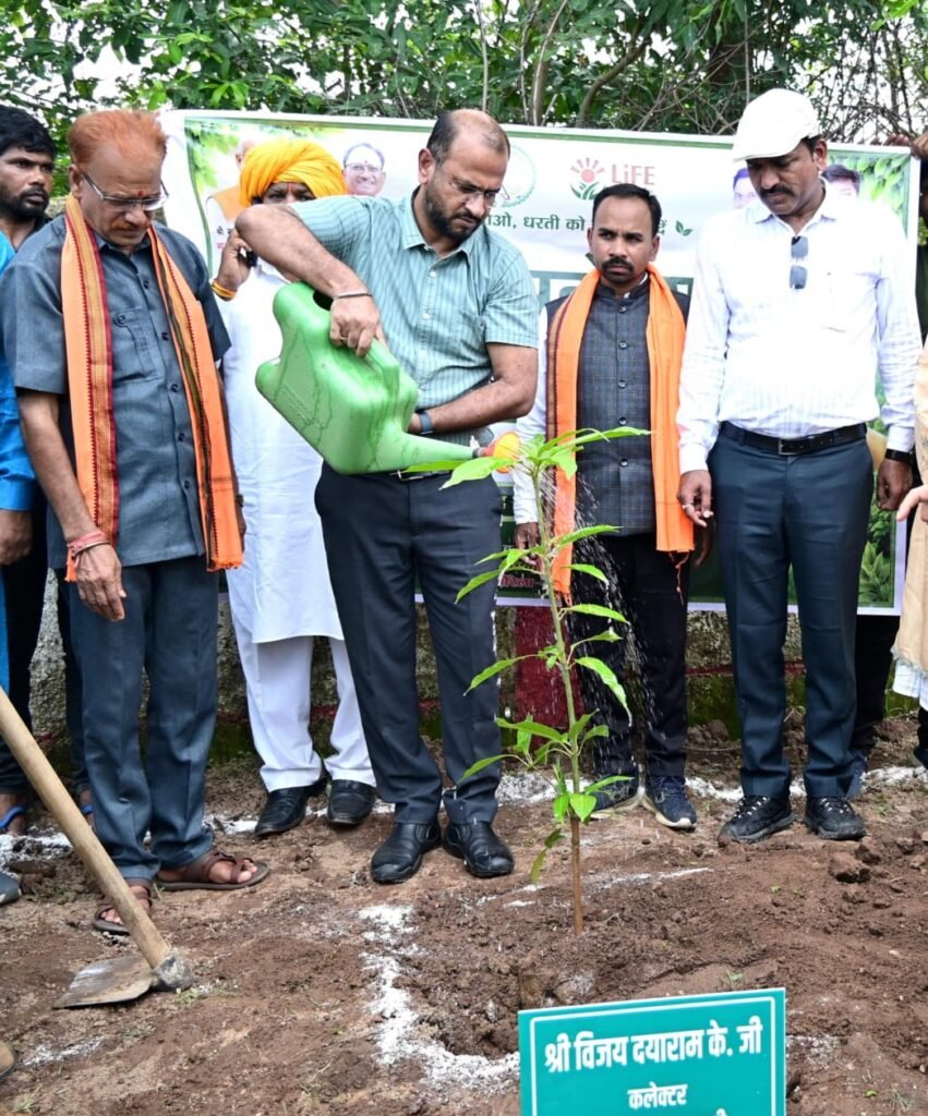 मुख्यमंत्री विष्णुदेव साय के नेतृत्व में ‘एक पेड़ मां के नाम 3.0’ अभियान को मिल रहा जन-जन का साथ