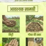 सीड बॉल अभियान- हरियाली बढ़ाने का सरल और प्रभावी माध्यम
