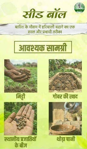 सीड बॉल अभियान- हरियाली बढ़ाने का सरल और प्रभावी माध्यम