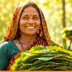 धमतरी : 23,723 तेन्दूपत्ता संग्राहक परिवारों को मिलेगा 3.92 करोड़ रुपये का बोनस