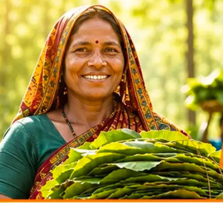 धमतरी : 23,723 तेन्दूपत्ता संग्राहक परिवारों को मिलेगा 3.92 करोड़ रुपये का बोनस