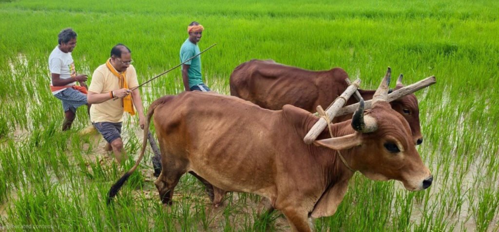अपनी माटी और खेती-किसानी से मुख्यमंत्री विष्णु देव साय का आत्मीय जुड़ाव