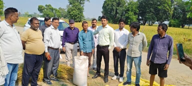शाहजहांपुर में  एडीएम ने खेत में धान की उपज का किया आकलन
