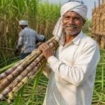 गन्ना मूल्य में छत्तीसगढ़ देश में नंबर वन