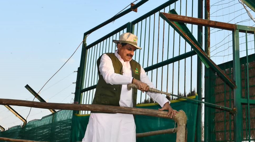 कान्हा टाइगर रिजर्व के सूपखार में सौ साल बाद जंगली भैंसों की वापसी